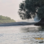 IMG_6459.JPG