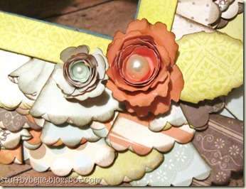 IMG_5438 IMG_5438