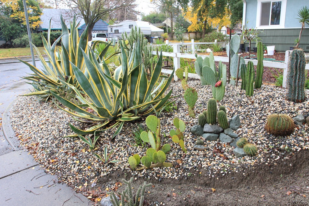 [121202_Davis_succulent_garden05%255B2%255D.jpg]