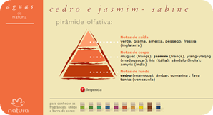 Pirâmide olfativa de Cedro e Jasmim Pirâmide olfativa de Cedro e Jasmim