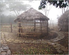 EXCURSION_A_BETULIA._DIC._2009_175