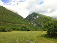 IMG_1359.JPG