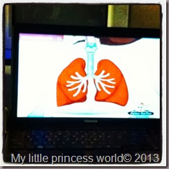 My little princess world