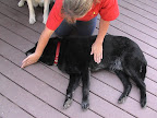 Open airway by pulling back on the chin Open airway by pulling back on the chin