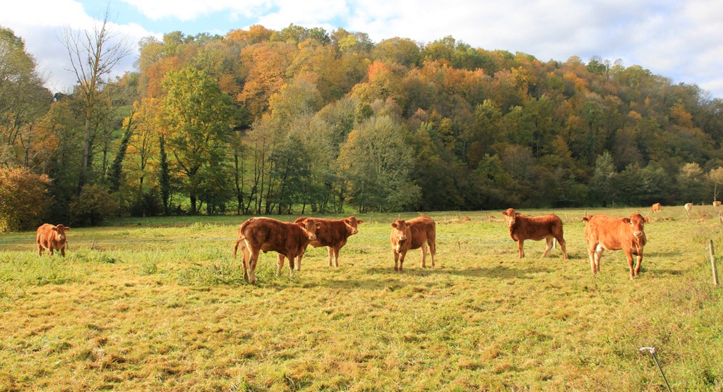 [IMG_1762%255B3%255D.jpg]