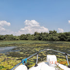 DSCN3026.JPG