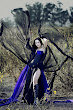Dark Wings And Beauty