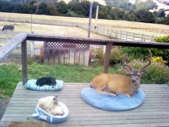 [viral-picdump-pics-38f450%255B2%255D.jpg]