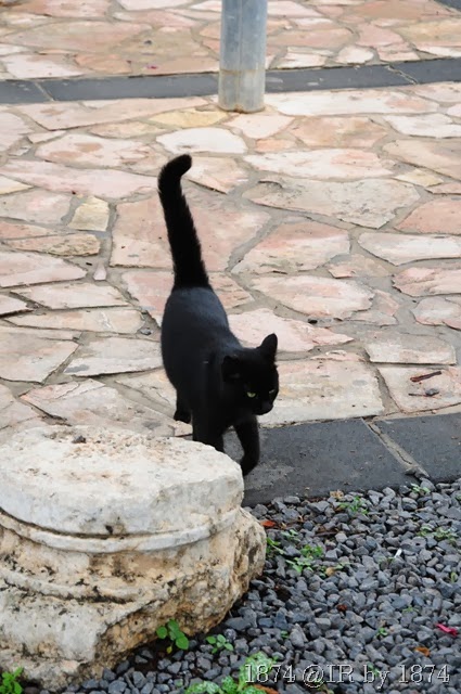 [IRS_6935%255B9%255D.jpg]