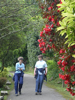 Walking through gardens