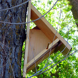 Silke's birdhouse sits empty, as the birds chose to nest on the ground.
