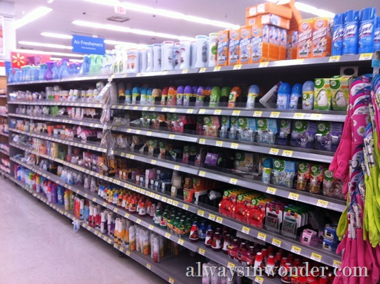 shopping_at_Walmart_for_Renuzit_Fresh_Accents (13) shopping_at_Walmart_for_Renuzit_Fresh_Accents (13)
