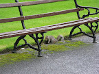 Kilkenny Castle