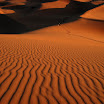 DSC_2200w.jpg
