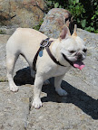 Hey Franny, let's give the hikers a rest!  They look like they're lagging.