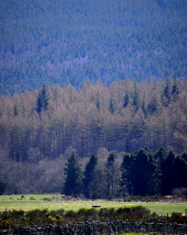 [30%2520April%252014%252030-04-2013%252011-06-08%25203020x3782%255B3%255D.jpg]