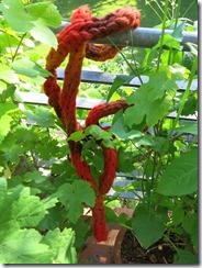 IMG_0093 IMG_0093