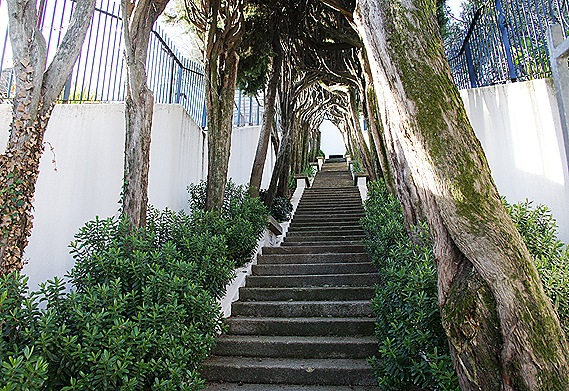 Castelo Branco - Miradouro de S.Gens - escadaria