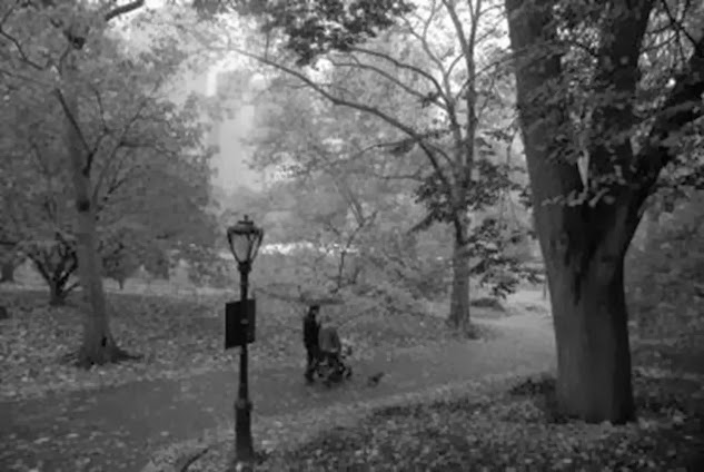 rainy-day-stroll rainy-day-stroll