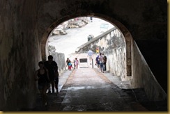 IMG_3765 IMG_3765