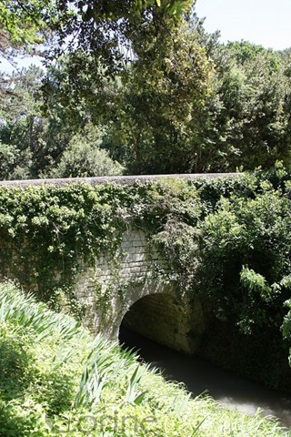 canal des alpines canal des alpines