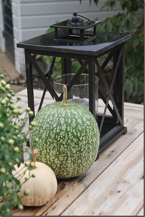 Home & Lifestyle Home & Lifestyle