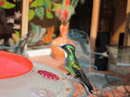 Sprachaufenthalt Costa Rica