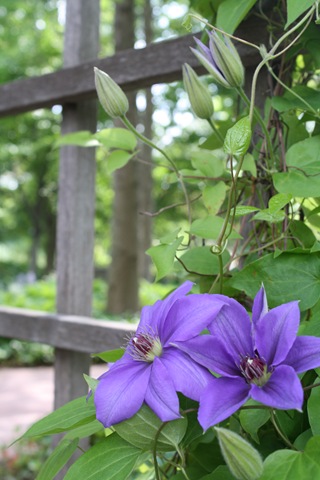 [IMG_4798%255B6%255D.jpg]