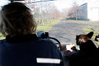 At the vegetable garden, Martha turned left and headed down the road flanked by pin oaks.  The equipment barn is to the right.