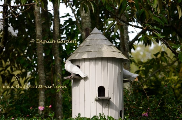 at English Garden.jpg At English Garden