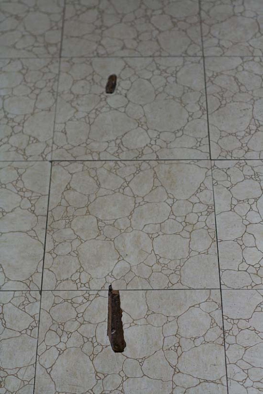 1house