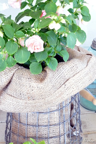 [burlap%2520liner%255B6%255D.jpg]