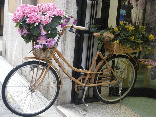 [zzzbicicletta1%255B4%255D.jpg]