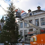 kerstboomaalten.jpg