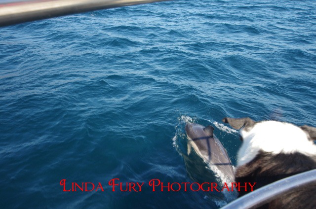 [Cruise%2520034%255B3%255D.jpg]