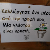 DSCF6161.JPG