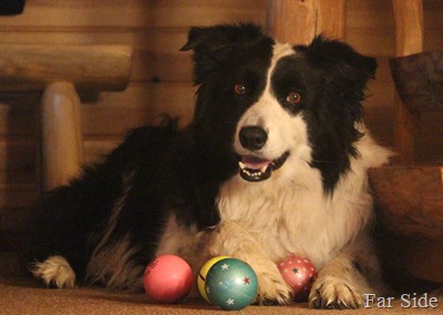 Chance and the balls Chance and the balls