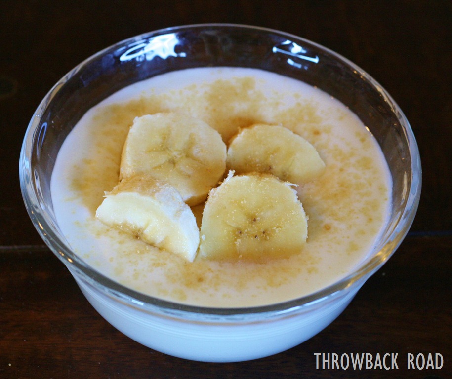 [yogurt-self-port-00910.jpg]
