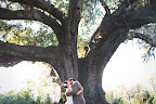 The Mr. and Mrs.!