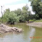 DSCN7100.JPG