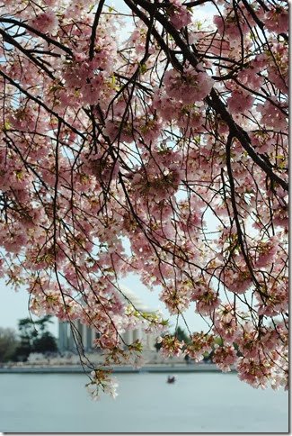 DSC_0019 DSC_0019