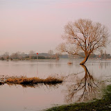 Hoogwater januari 2012