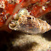 P7064841