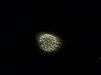 IMG_20110704_212534.jpg