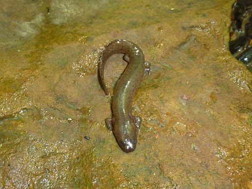P1120223