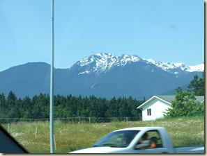 DSCF7395