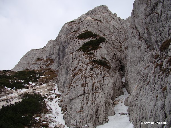 cioranga ramura de sus-32.JPG