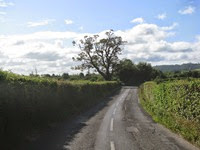 IMG_3228 IMG_3228