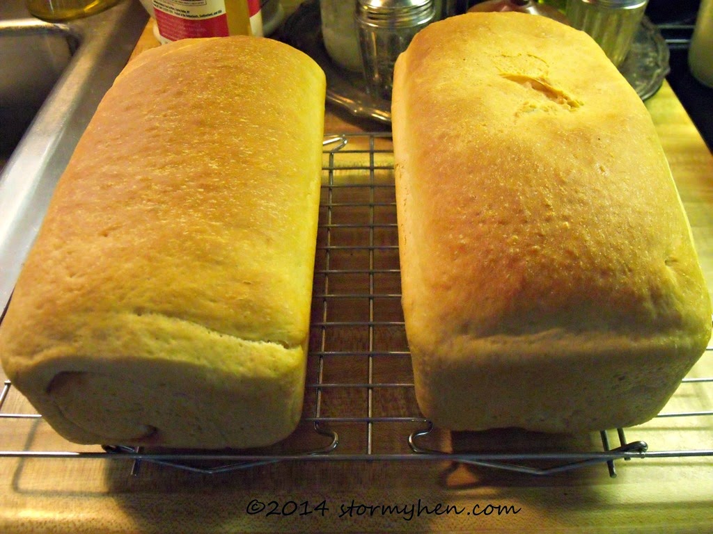 [finished%2520loaves%255B3%255D.jpg]