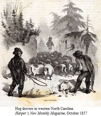 hog drovers